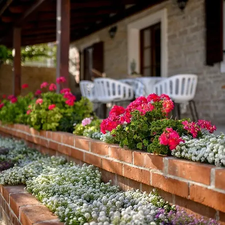 Nela Villa Benkovac